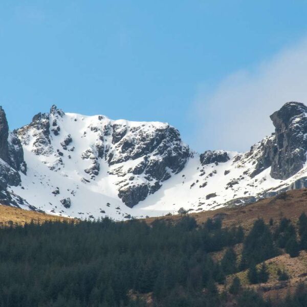 Cobbler - Ben Arthur