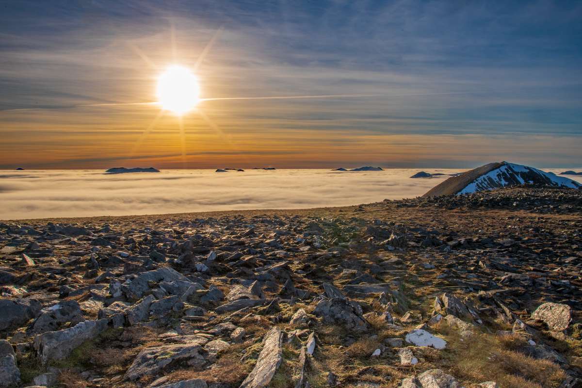 The Easains 1 The Easains